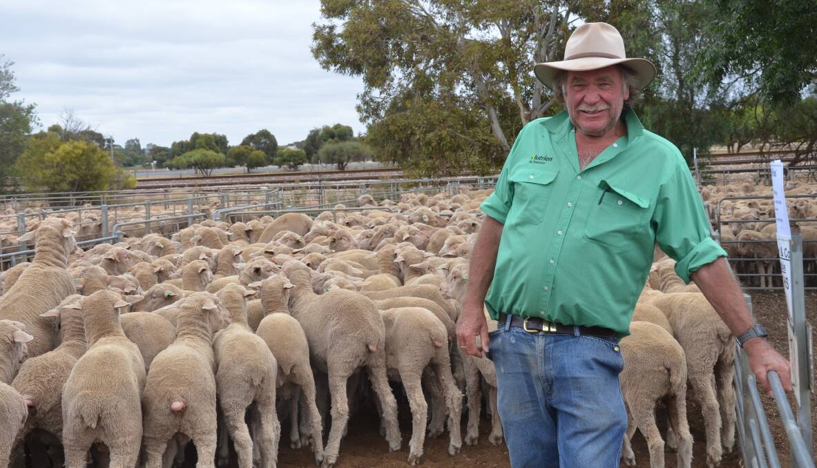 END OF ERA: Retiring Nutrien Ag Solutions auctioneer Don Cullen selling his last pen of sheep at Jamestown last week. 