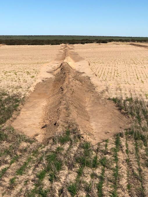 SOIL DRIFT: Contour banks have been formed across sections of the Calliss farm to minimise paddock erosion. 