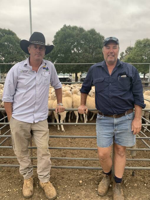 SALE DAY: Nutrien Ag Solutions Martin Williams and Gerard Ryan, Kulwin, at this week's sheep market at Ouyen. 