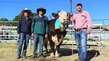 BEST BULL: The Days Whiteface team of Hettie Day, Nick Sullivan and Lachy Day holding the supreme exhibit, Days Isidore R213. 