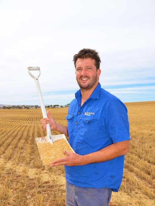 PROBLEMATIC PADDOCK: Bute graingrower James Venning with recently-harvested winter wheat Bennett, which was grown on frost-prone paddocks. 