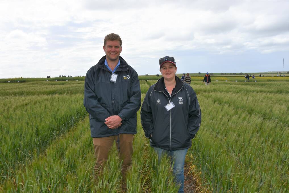 OPTIONS GALORE: The University of Adelaide's Stuart Hentschke and SARDI's Melissa McCallum at the Hart Field-Site trial for new durum wheat variety DBA Spes. An on-going evaluation of the variety will continue into the 2019 season and limited seed with be available in time for the 2019 sowing.    