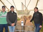GREENFIELDS: Booborowie's James Sullivan, centre, pictured with stud hands Will Jones and Joanne Edson. 