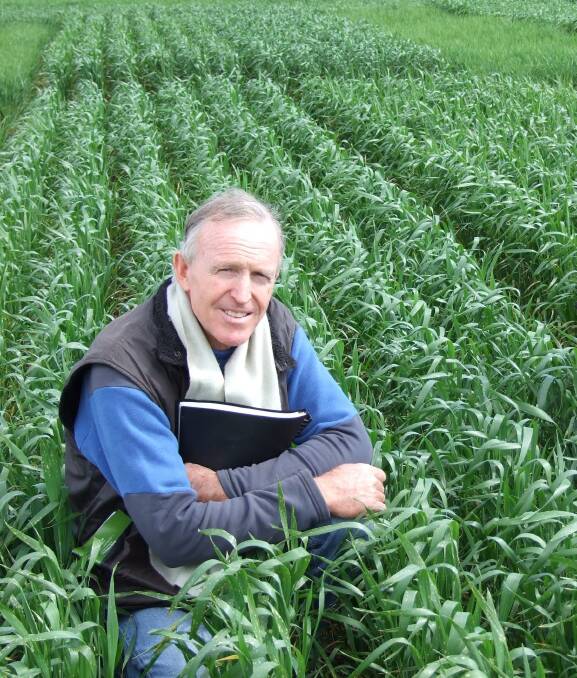FINDING SOLUTIONS: Cosultant Harm van Rees will lead the project on behalf of Agronomy Solutions. 