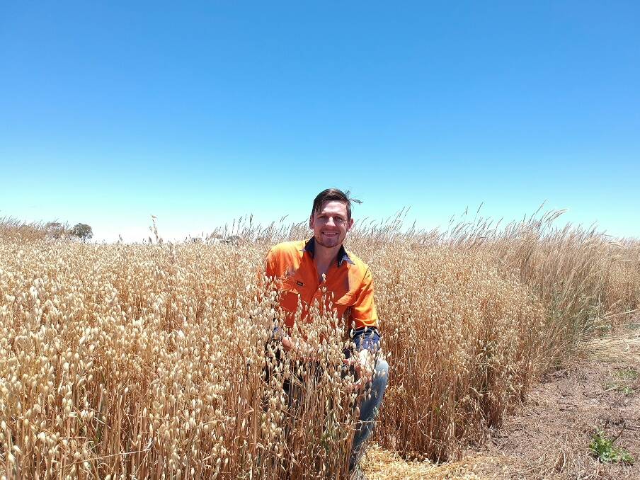FARRELL FLAT: Researcher Alec McCallum has looked into ways to improve crop biomass. 