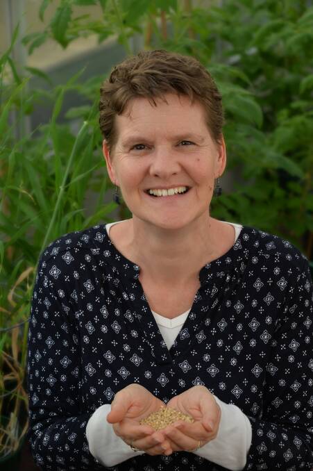 UTILISING CROPS: The University of Adelaide's Professor Rachel Burton is becoming a bit of a trailblazer in alternative crop research. 