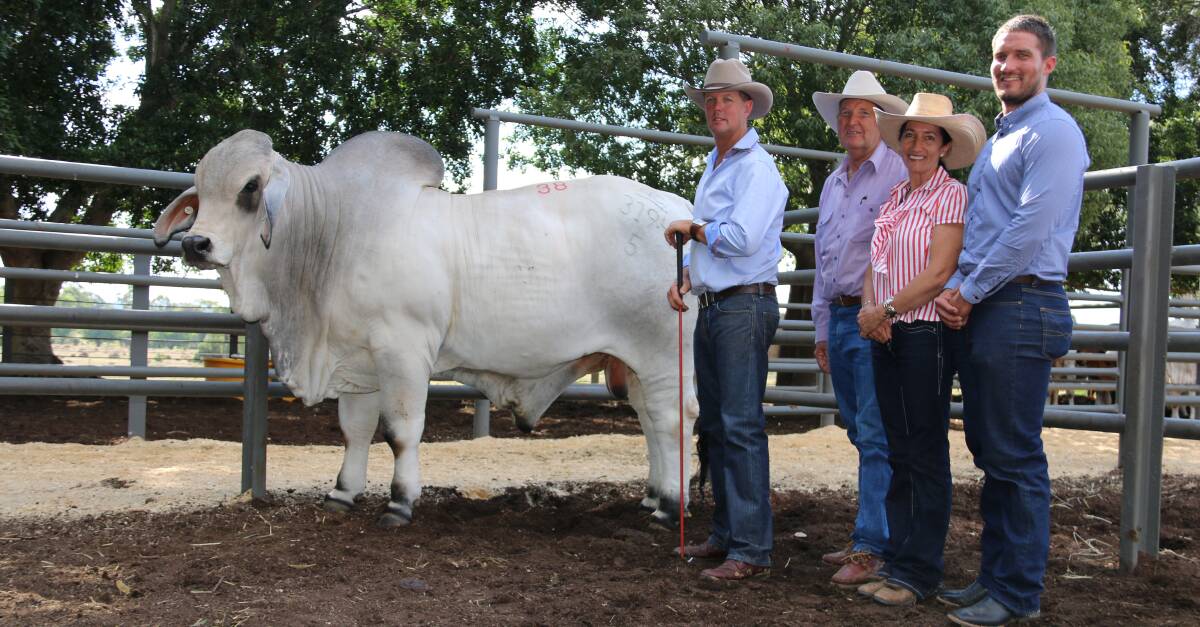 Top price bull - NCC Randolph (IVF) with vendor Brett Nobbs and purchasers Owen, Lee and Clay Scott.