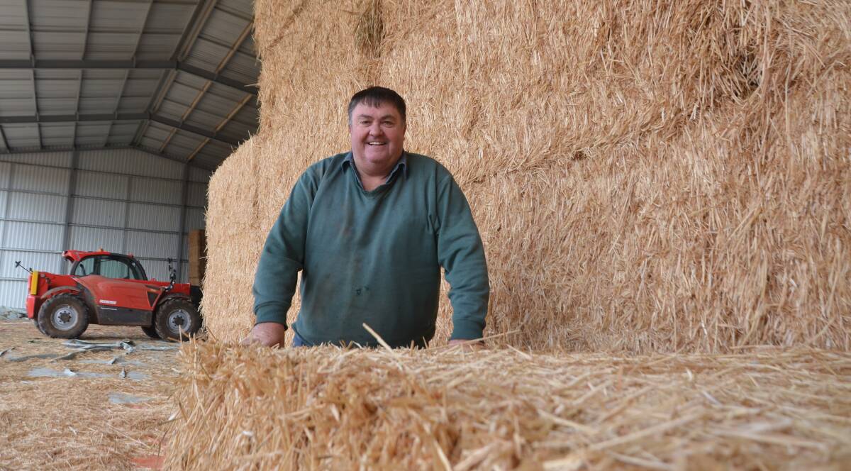 Erith hay and graingrower Rob Saint has received a full allocation of oaten export hay growing hectares this season. He believes there will be a domestic hay shortfall later in the year with less graingrowers to undertake opportunistic haymaking, due to the current profitability of grain.