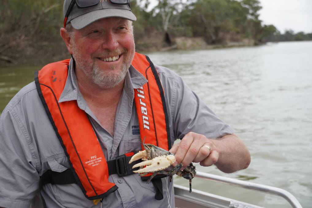 Murraylands and Riverland Landscape Board Wetlands team leader Darren Willis with one of the Murray Crayfish being reintroduced to SA's River Murray.