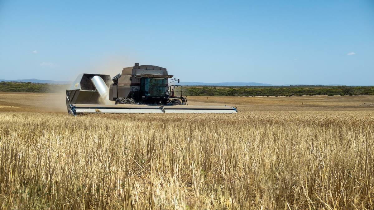 Gareth Scholz said a change his family made based off SANTFA case studies was a move to a stripper front for harvesting in the hunt for more groundcover and moisture conservation. Picture supplied