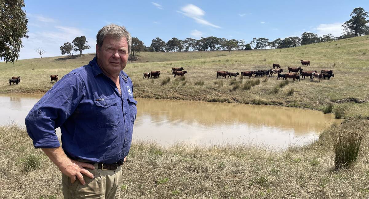 Having full dams heading into summer is one of the biggest benefits of the rain event for Bugle Ranges beef producer Nick Simpson.