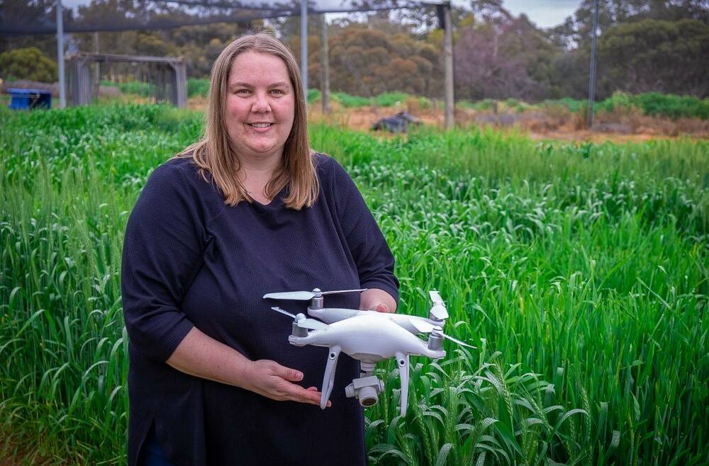 SARDI Agronomy Program leader Dr Rhiannon Schilling was recently recognised as an SA Young Tall Poppy by the Australian Institute of Policy and Science, the latest recognition in what has already been a stellar career. PHOTO: PIRSA