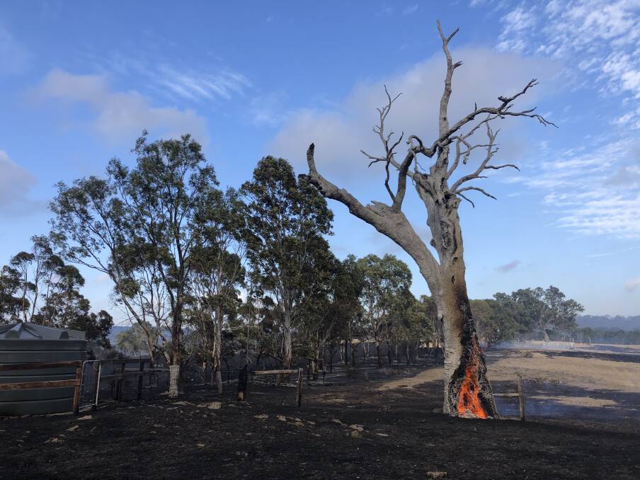 The aftermath of the Cudlee Creek fire on the Hampton's Harrogate property.
