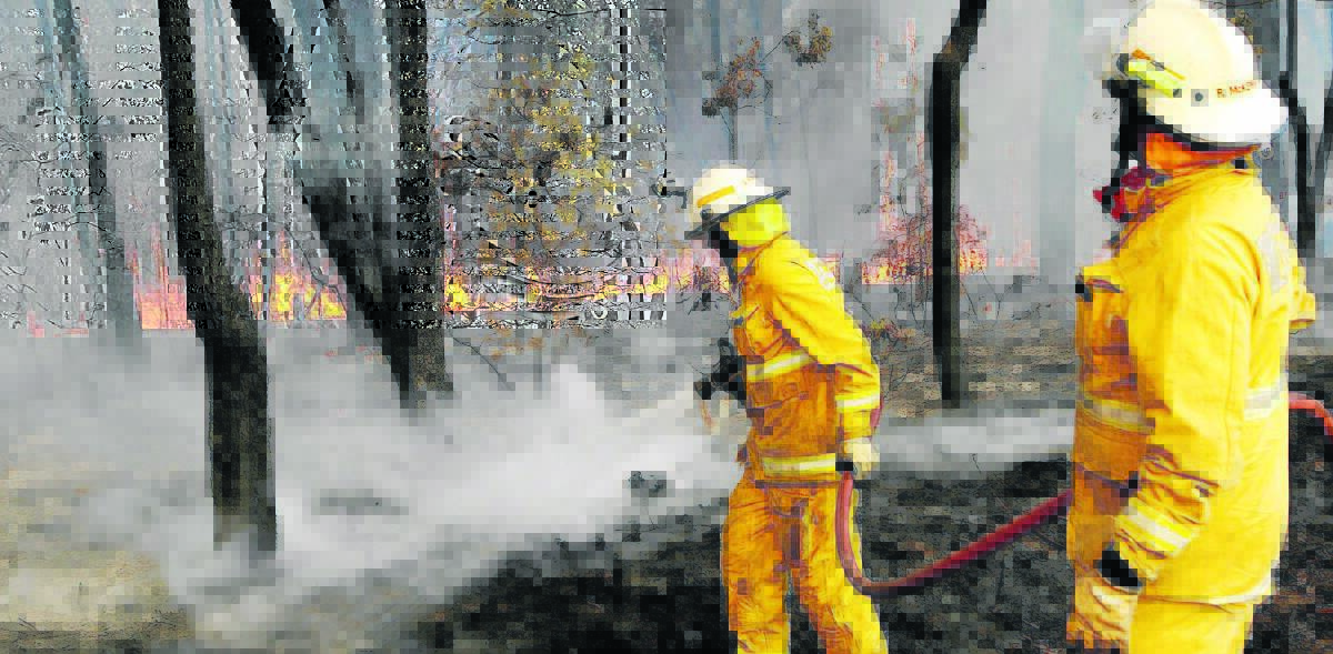 INCREASED THREAT: Certain SA regions will have a higher-than-normal bushfire risk this summer.