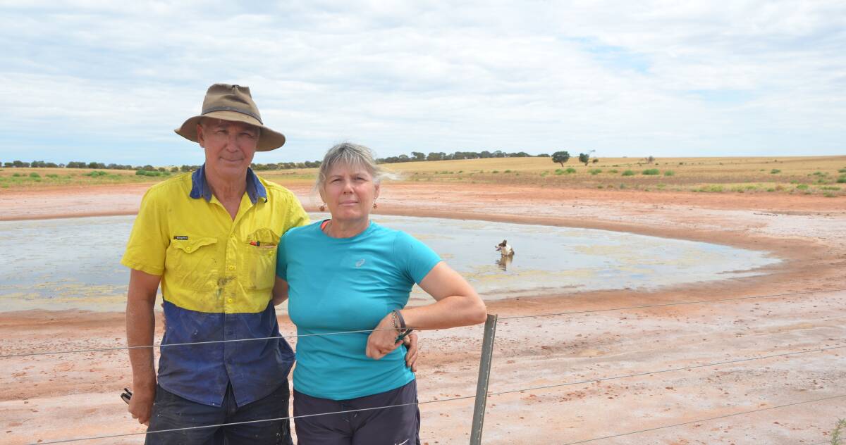 Gary and Yvette Frahn in front of salt-affected land on their Bugle Hut property. They and other local landholders have sown Puccinellia trials in a bid to see if salinised land can be returned to some form of productivity. File picture