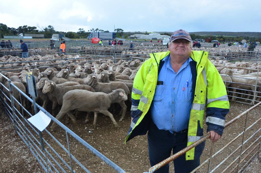 EWE VENDOR: Adrian Growden, Karoonda, with his pen of 53 2yo Woodoona-bld ewes, which sold at $170 to Landmark Tintinara. He also sold another pen of 28 5.5yo at $146.
