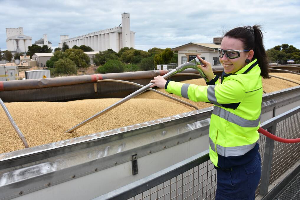 BARLEY DELIVERY: Viterra harvest worker Kimberley Davey, Pine Point, taking a sample of Planet barley from a Maitland grower on Wednesday at the Ardrossan silos, which was starting to wind down for the season.