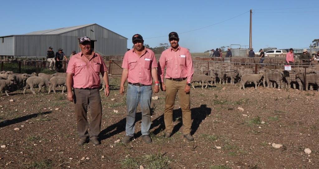 At the conclusion of the sale are Elders Northern SA livestock manager Damien Webb, Elders Cleve livestock manager and auctioneer Mick Noble, and Elders Streaky Bay territory sales manager Locky Crabb.