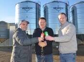 Grain Producers SA CEO Brad Perry, Kangaroo Flat barley grower and Coopers supplier Josh Krieg, and Trust Provenance CEO Andrew Grant toast funding which will help a collaborative project to track and trace barley from paddock to brewery, and beyond.
