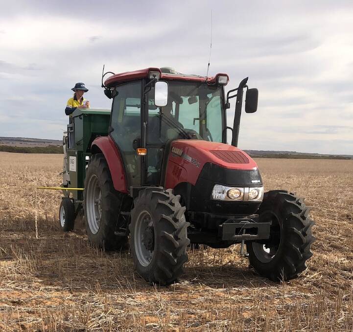 UNDER INVESTIGATION: EP Ag Research staff have been seeding long coleoptile wheat varieties on the Eyre Peninsula.