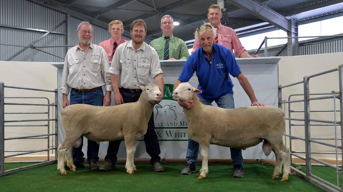 CLIENT SATISFACTION: The breeding objectives of Phil and Aaron Clothier's (front left) Poll Dorset, White Suffolk, Multi Meat and Merino studs all stem back to what their producer clientele want and need. Pictured with Phil and Aaron at Woolumbool's 2019 sale are (back) Elders Lucindales Nathan McCarthy, Landmark stud stock's Gordon Wood and Elders Lucindale's Scott Christie, and White Suffolk buyer Dale Price, Majardah stud, Glencoe.