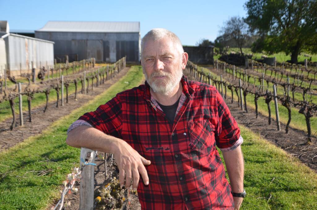 BROAD POTENTIAL: Angaston grapegrower, broadacre cropper, sheep and cattle producer Mark Grossman is in favour of allowing GM crops in the Barossa.