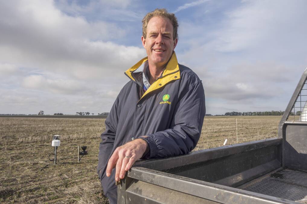 LESSONS LEARNED: Vic agronomist Craig Drum says GM canola growers have often encountered less glyphosate resistance than growers of regular canola varieties in his region. Photo: CLARISA COLLIS, GRDC'S GROUNDCOVER