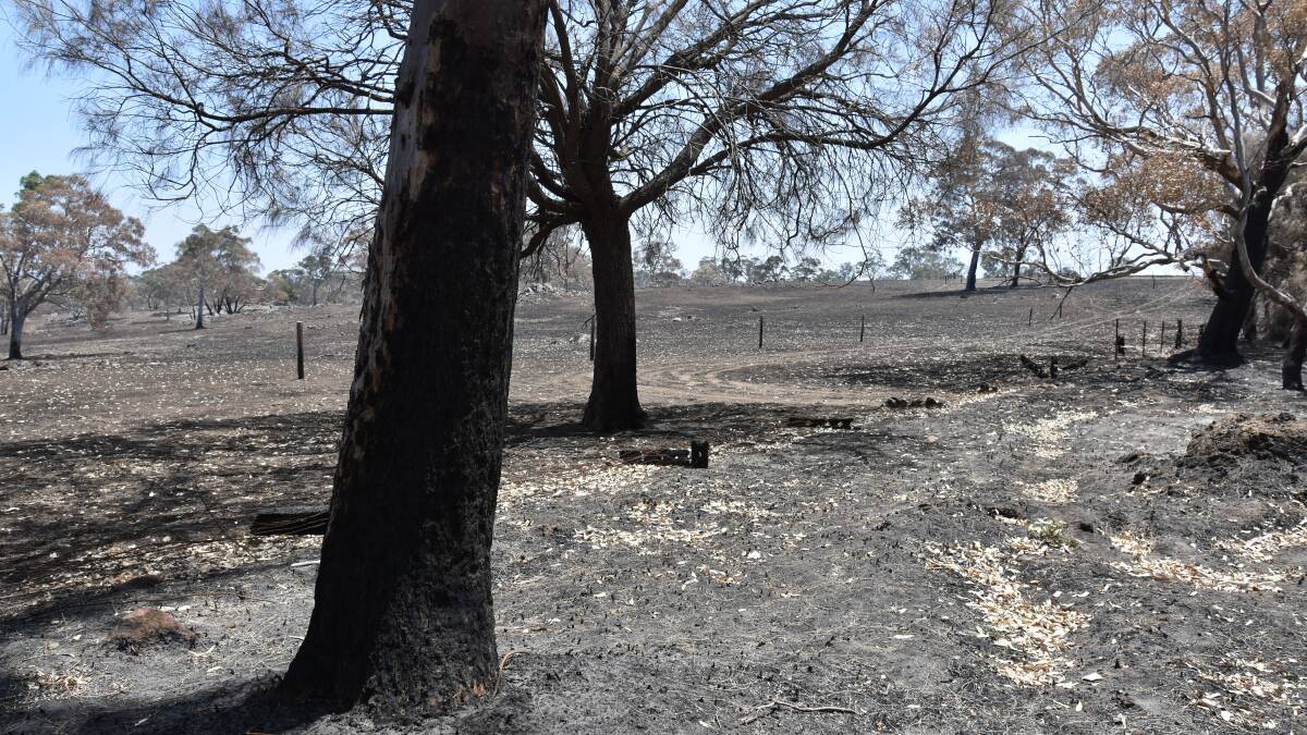 Tax relief measures announced for fire-affected communities