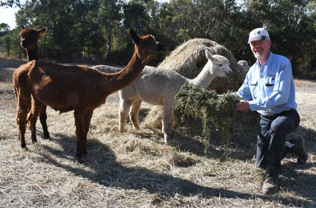 Yacka Ridge Alpacas owner Jolyon Porter, Birdwood, runs a Huacaya herd and says there is insatiable international demand for fleece. Picture by Quinton McCallum