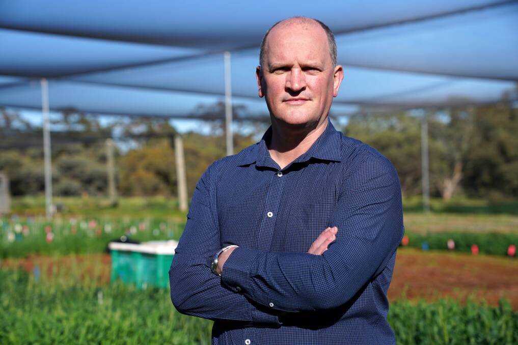 Jonathan Wilson has been named the inaugural CEO of Grains Australia.