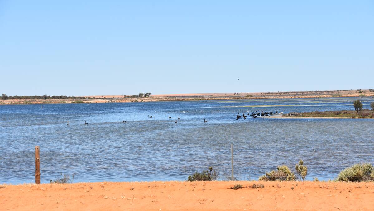 The Noora Basin was established in 1982 as a disposal site for saline water from the River Murray.