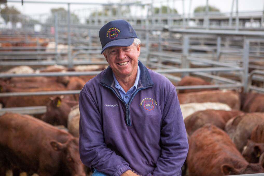 FAREWELL: Retiring Miller Whan & John livestock agent Mike Newton at his final Mount Gambier store cattle sale recently. Photo: JACQUI BATEMAN