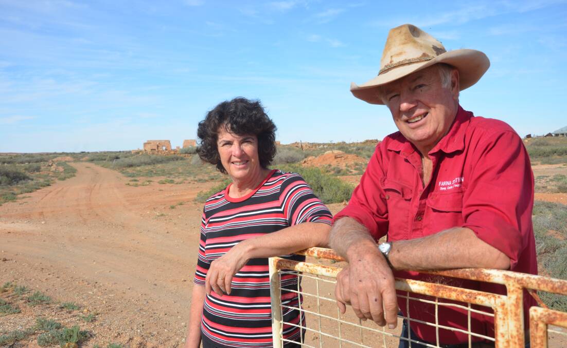 BIG TOLL: Anne and Kevin Dawes, Farina Station, have lost up to 1000 sheep a year to wild dogs across the past five years.