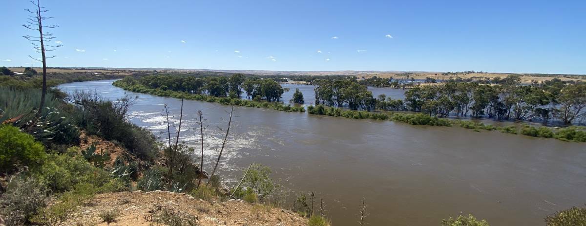 River Murray system storages have benefitted from the floods, with major dams at 90pc capacity, which is 26pc above the long-term average for the end of June.