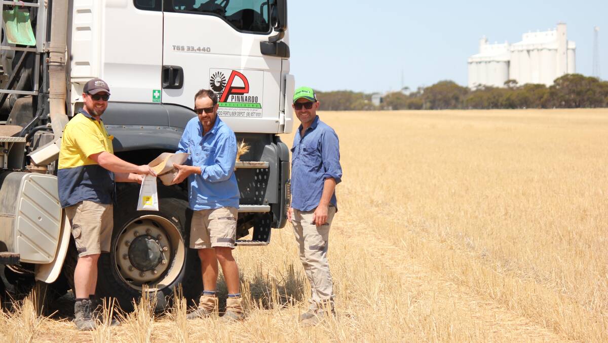 NUTRIENT REMOVAL: Heath Boseley from Pinnaroo Fertiliser is running a grain testing program with local graingrowers, including Giles Oster and David Lawson.