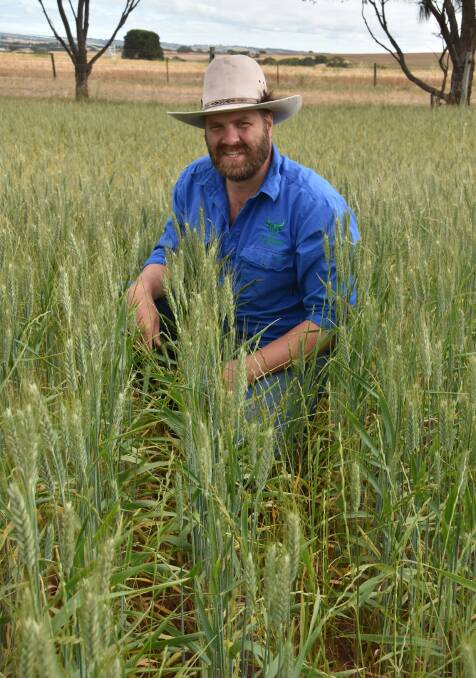 Ben Dohnt in a paddock of Tritordeum at Finniss.