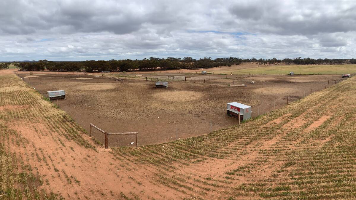 USEFUL ASSET: The Schaefer's containment yards, which have been used for confinement feeding and to prevent soil erosion in vulnerable paddocks by keeping their ewes penned.