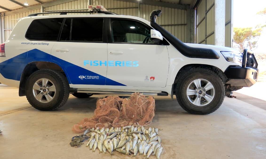 The haul which resulted in more than $3000 in fines for two fisherman on the Eyre Peninsula.