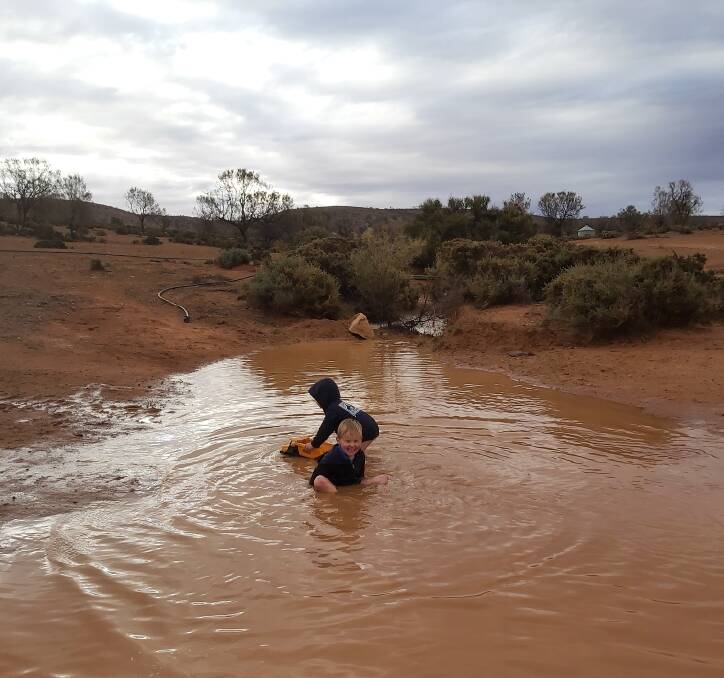 RARE SIGHT: Ryan Gill, 4, and Liam Gill, 2, enjoying the 33mm of rain that fell on Mern Merna Station on the weekend.