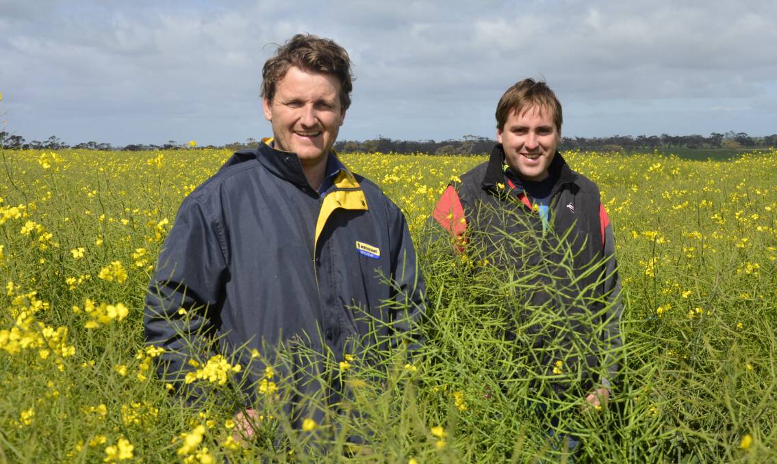 CROP TECH: Daniel Feder, Wolseley, and Jonathan Dyer, Kaniva, Vic, in one of Mr Dyer's genetically-modified canola crops. He says GM varieties provide outstanding grass weed control for their cropping enterprise.