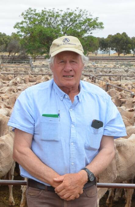 OVERSEEING REBUILD: Chair of the SA Dog Fence Board Geoff Power.