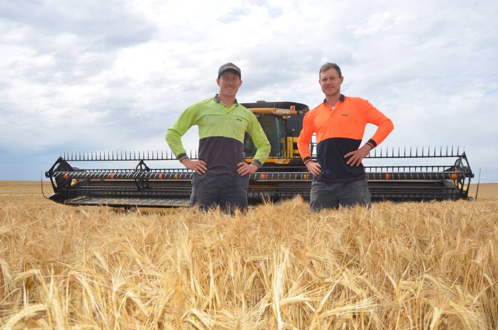 Campbell and Will Combe on the first day of harvest at their family's Crystal Brook farm.