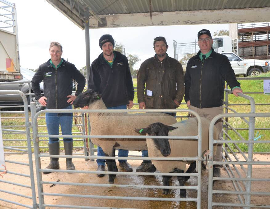 Nutrien Fawcett Livestock's Ashley Fawcett, Seymour Vale principal Alan Lintern, top price ram buyer Matthew Neldner, Tanunda, and Nutrien stud stock's Gordon Wood with the two $1600 purchases at the completion of Seymour Vale's debut Suffolk sale.