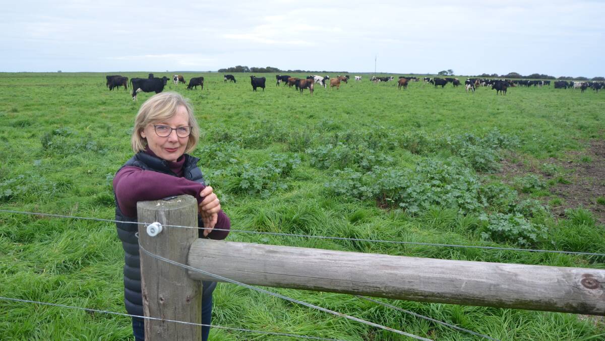 FLAWED PROCESS: Narrung dairyfarmer Cathie Harvey says the time frame given to councils, to organise and present a business case on why to keep a GM ban, is too short.