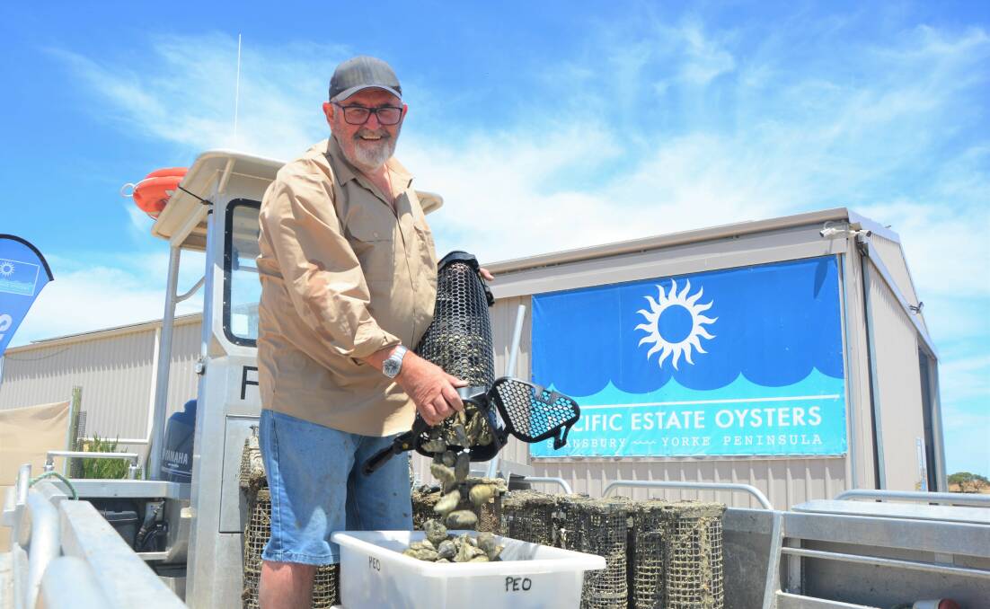 BIG HAUL: Steve Bowley of Pacific Estate Oysters, Stansbury, says Christmas is always an extremely busy time for their business which sells Pacific and Australian Angasi oysters.