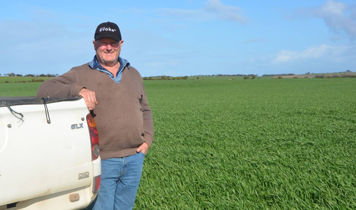TRACKING WELL: Port Vincent's Richard Way says his early-sown wheat crops are looking magnificent, with good rain in May providing good subsoil moisture.