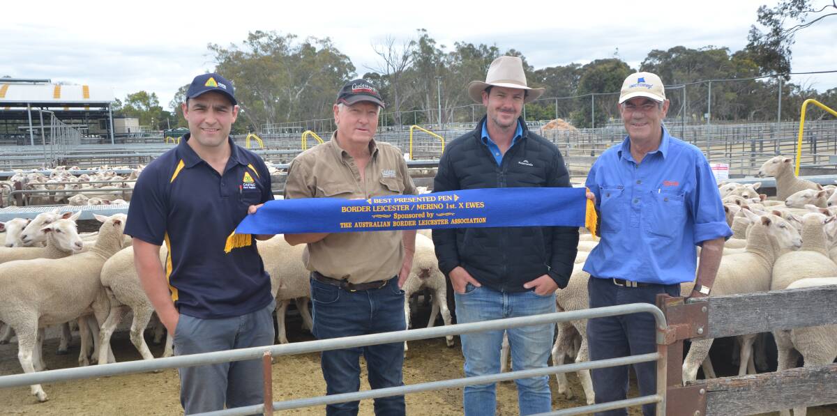 James Higgins from Castec Rural Supplies, sponsor of the best-presented pen, Coolawang's Trevor and Lachie James, Mundulla West, and Zoetis' Gary Glasson, sponsor of the highest-priced pen at the Naracoorte first-cross ewe sale. Coolawang's top run of 104 vendor-bred ewes made $538.