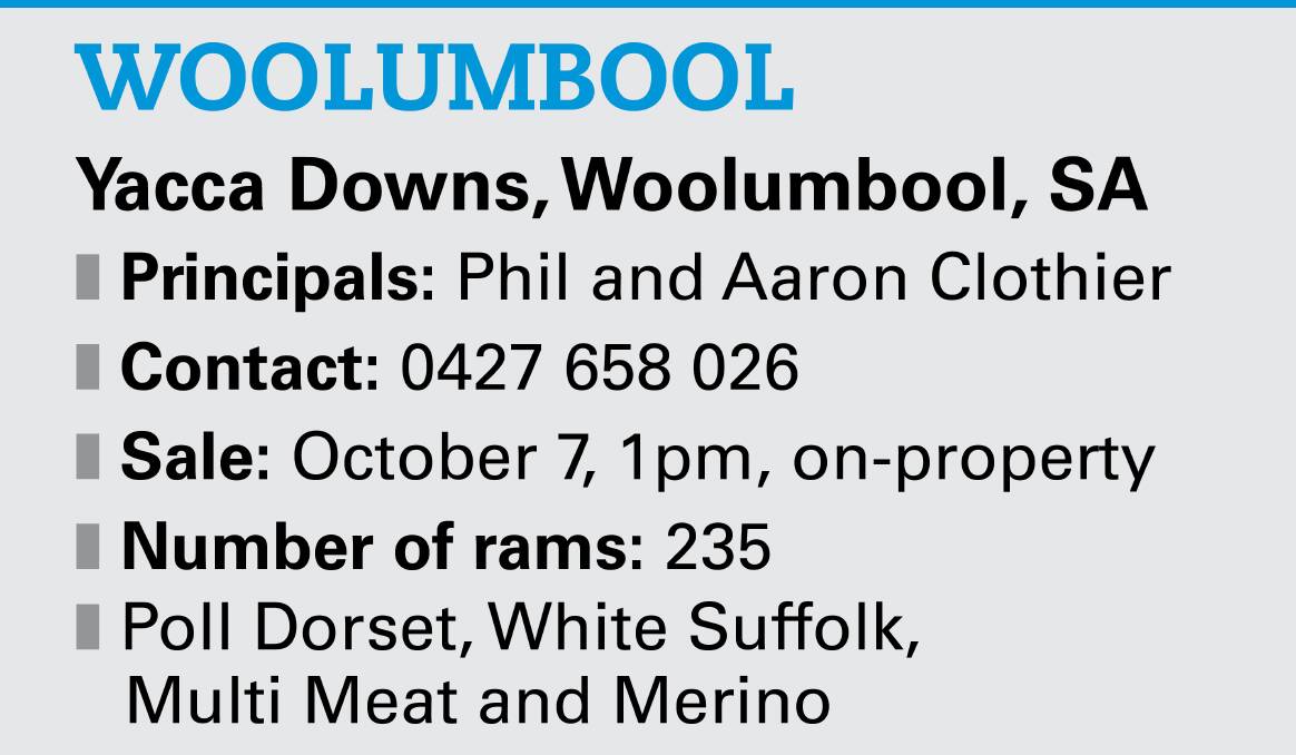 Producer focus pays for Woolumbool