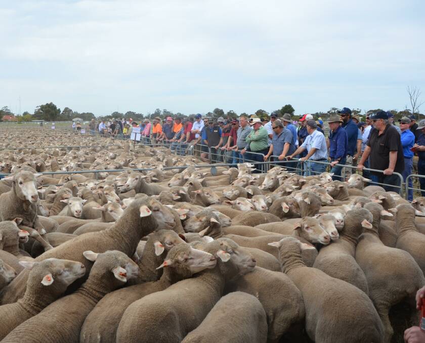 The annual Pinnaroo offshears sale is just one example of the agricultural industry that makes the Mallee town thrive.