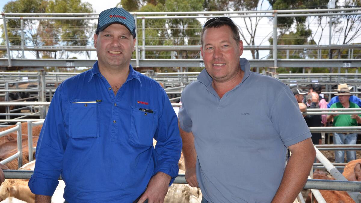 HILLS LADS: Tim Whittaker and Shane Squires, both of Hahndorf, were searching for steers at Strathalbyn.